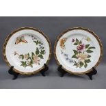 Pair of Royal Worcester porcelain cabinet plates with butterfly and flowers pattern, with puce