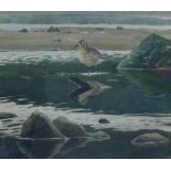 John Busby, RSA, RSW, PSSA, SWA (1928 - 2015) Young Grey Plover & Reflections, 1991, Watercolour,