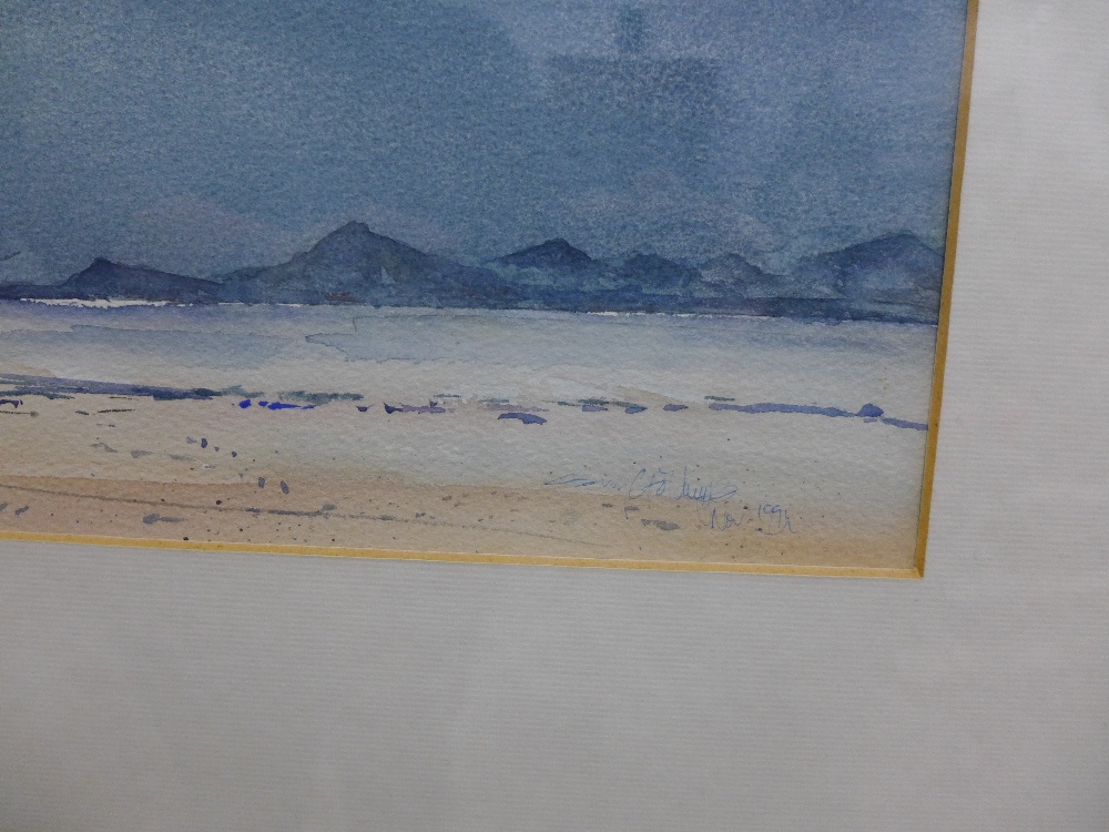 Gerry Goldwyre, Shore Scene, Watercolour,signed and dated 1991, framed under glass, 45 x 15cm - Image 3 of 3