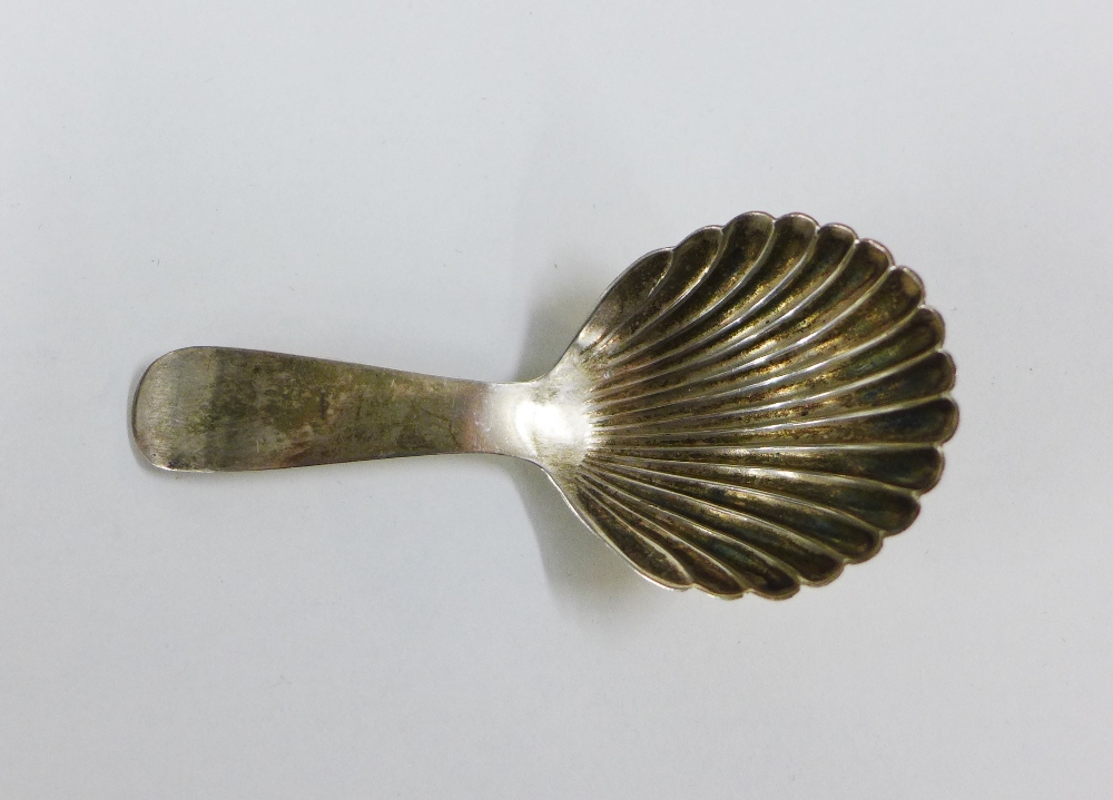 Georgian silver caddy spoon, with shell bowl, Newcastle circa 1800, 8cm long