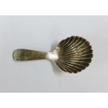 Georgian silver caddy spoon, with shell bowl, Newcastle circa 1800, 8cm long