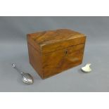 Mahogany tea caddy with a thistle spoon and a tea strainer, (a lot)