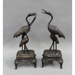 Pair of bronze stork figures, on stylised rectangular bases, height overall 26cm (one a/f with a