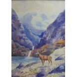 W. McNee, Stag in a highland landscape, watercolour, signed, framed under glass, 15 x 19cm