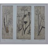 Pat Crombie (Edinburgh Printmakers) etching with chine collee, signed in pencil an d numbered 16 /20