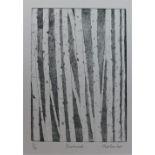 Pat Crombie (Edinburgh Printmakers) Birchwood' etching, signed in pencil, entitled and numbered 2/