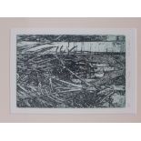 Pat Crombie (Edinburgh Printmakers) 'Mexican Palms' Artist Proof etching, signed in pencil , frame