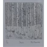 Pat Crombie (Edinburgh Printmakers) 'Silver', ETCHING, signed in pencil, entitled and numbered 2/20,