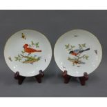 Two Meissen handpainted saucer dishes, one painted with a Red Cardinal bird, blue crossed sword