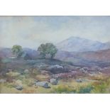 James Gustavos H Spindler (1862 - 1916) Highland Path, watercolour, signed and dated 1909, framed