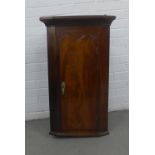 19th century mahogany corner cupboard of small proportions, with a serpentine panelled door and