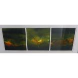 Dawson Murray, RSW, contemporary school triptych contained within a single frame, signed, size