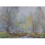 Tom Campbell, wooded landscape with sheep, watercolour, signed,, framed under glass, 37 x 26cm