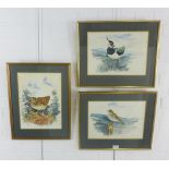 Eric Johnstone, a group of three watercolours of birds, signed and framed under glass, various sizes