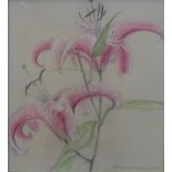 Catriona McMann, pencil, pastel and watercolour of star gazer lilies, signed in pencil and dated