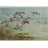 'Widgeon Alighting', a coloured Archibald Thornton print, signed in pencil, with a Trade Guild blind