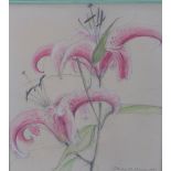 Catriona M Mann, RSA, pencil, pastel and watercolour of star gazer lilies, signed in pencil and
