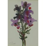 Archie Sutter Watt, (SCOTTISH 1915 - 2005), botanical watercolour, signed and framed under glass,