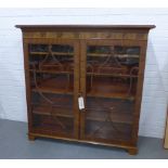 Mahogany bookcase, the rectangular top over a pair of urn astragal glazed doors with a shelved