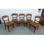 Set of five Victorian mahogany balloon back chairs with worn brown leather stuffover seats, on