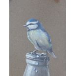 Keith Tovey (1932 - 2008) watercolour of a blue tit sat atop a milk bottle, signed, framed under