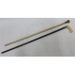 Stingray spine walking cane and Victorian ivory handled walking cane with white metal presentation