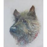 Early 20th Century School, a watercolour of a Terrier, signed with initials, HE. McL, framed under
