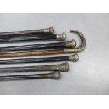 A collection of six late 19th and early 20th century walking canes to include silver mounted, and