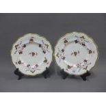 A pair of 19th century English porcelain cabinet plates, (2)
