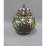 Cloisonne ginger jar and cover with dragon and pearl of wisdom pattern, 22cm