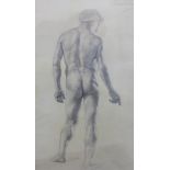 Possibly French School, pencil drawing of a male nude, signed indistinctly, framed under glass, 22 x