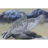 James Renny (British b.1946) Two Ptarmigan, watercolour and gouache, signed, framed under glass,