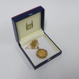 Royal Mint Sovereign limited edition pendant in a 9ct gold frame with diamonds, on a 9ct gold chain