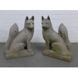 Pair of weathered concrete garden foxes, a.f. 34 x 50 x 17 (2)