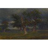 Thomas Fairbairn, (12820 - 1884) Study of trees with an approaching storm, oil on panel, signed