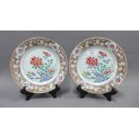 A pair of Chinese 18th century porcelain plates painted with flowers and blossom branch border, 22cm