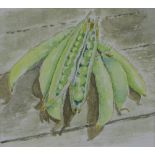 A watercolour of pea pods, unsigned, framed under glass, 13 x 11cm
