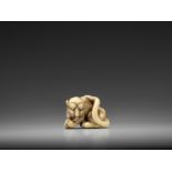 AN EXCELLENT KYOTO SCHOOL IVORY NETSUKE OF A GROOMING YOUNG TIGER
