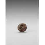 FUSHO: A BOXWOOD MANJU NETSUKE OF A COILED DRAGON