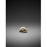 AN IVORY NETSUKE OF A SQUIRREL AND MUSHROOMS
