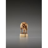 A VERY FINE AND RARE IVORY SEAL NETSUKE OF A DEER