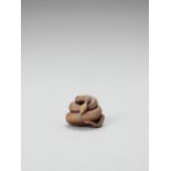 A CONTEMPORARY WOOD NETSUKE OF A COILED SNAKE AFTER MATSUDA SUKENAGA