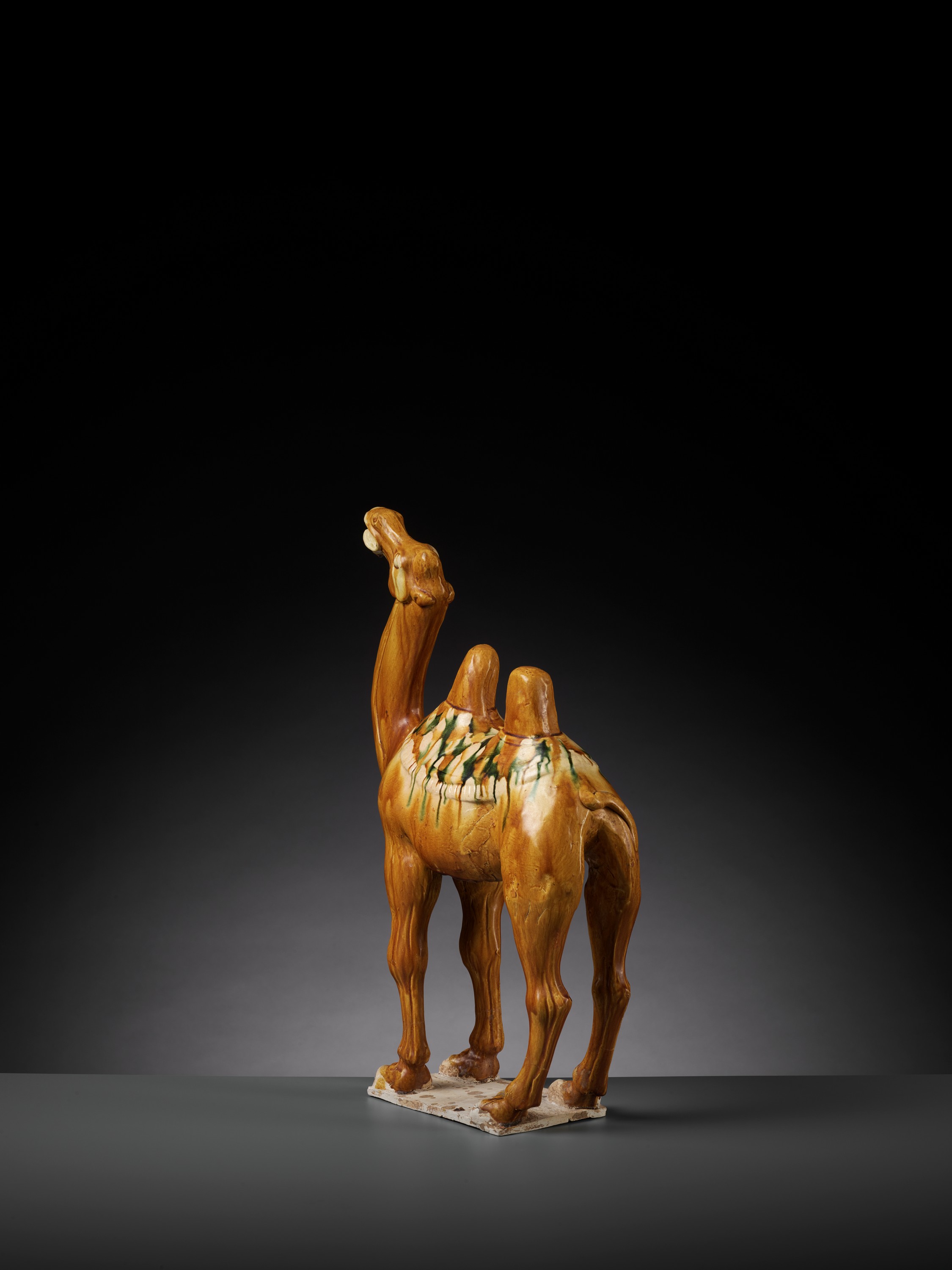 A SANCAI-GLAZED POTTERY FIGURE OF A BACTRIAN CAMEL, TANG DYNASTY - Image 8 of 15