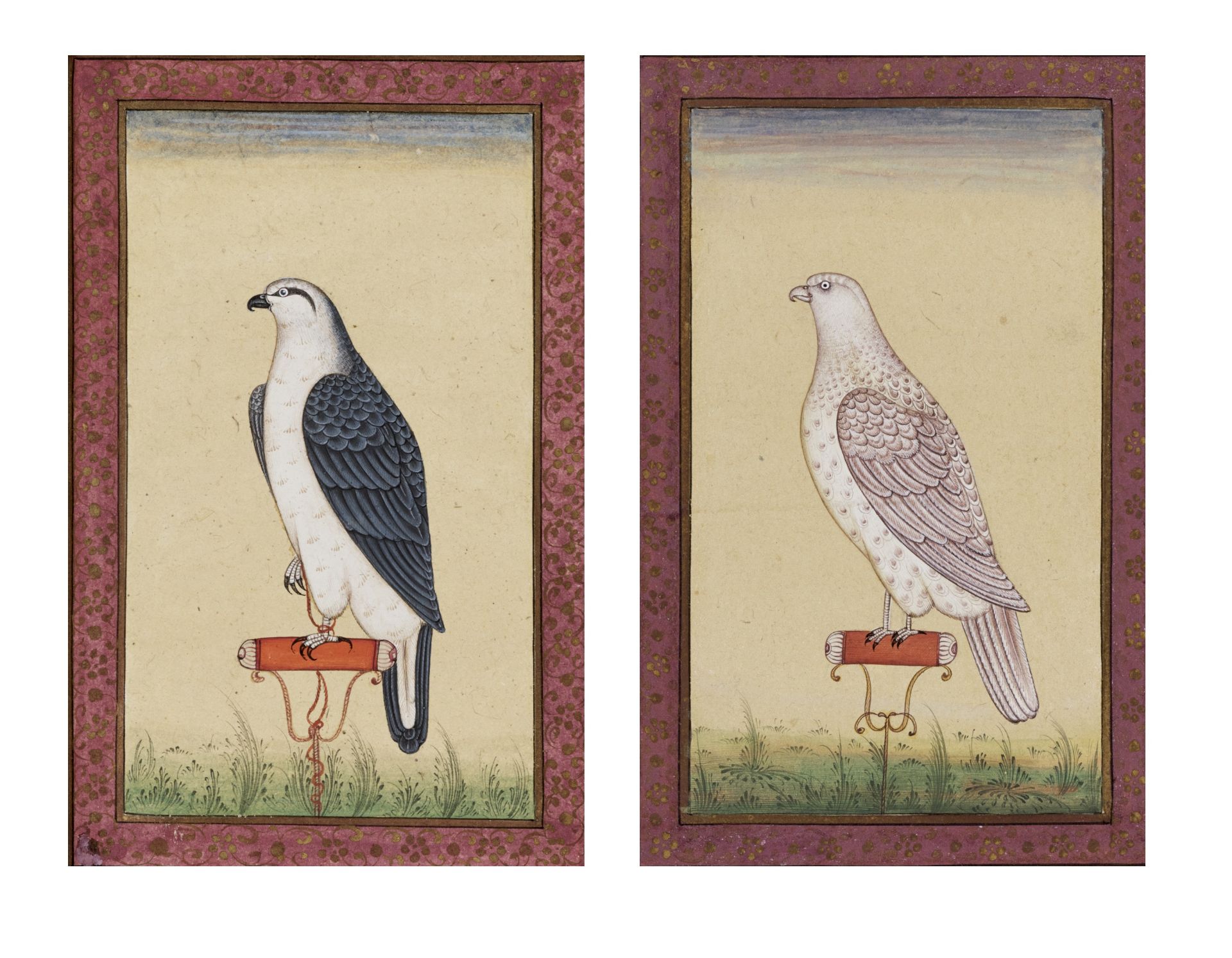 A PAIR OF INDIAN MINIATURE PAINTINGS OF FALCONS