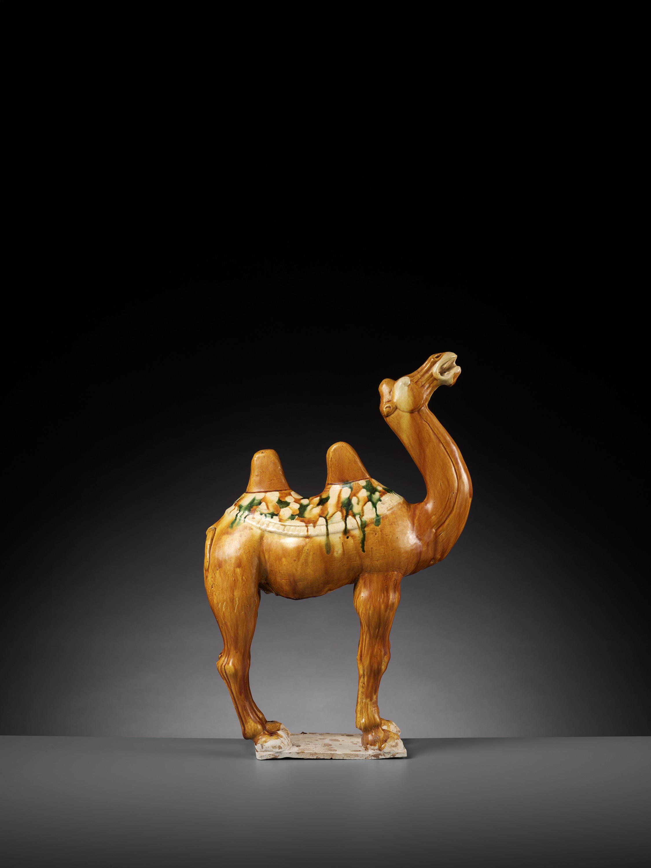 A SANCAI-GLAZED POTTERY FIGURE OF A BACTRIAN CAMEL, TANG DYNASTY - Image 10 of 15