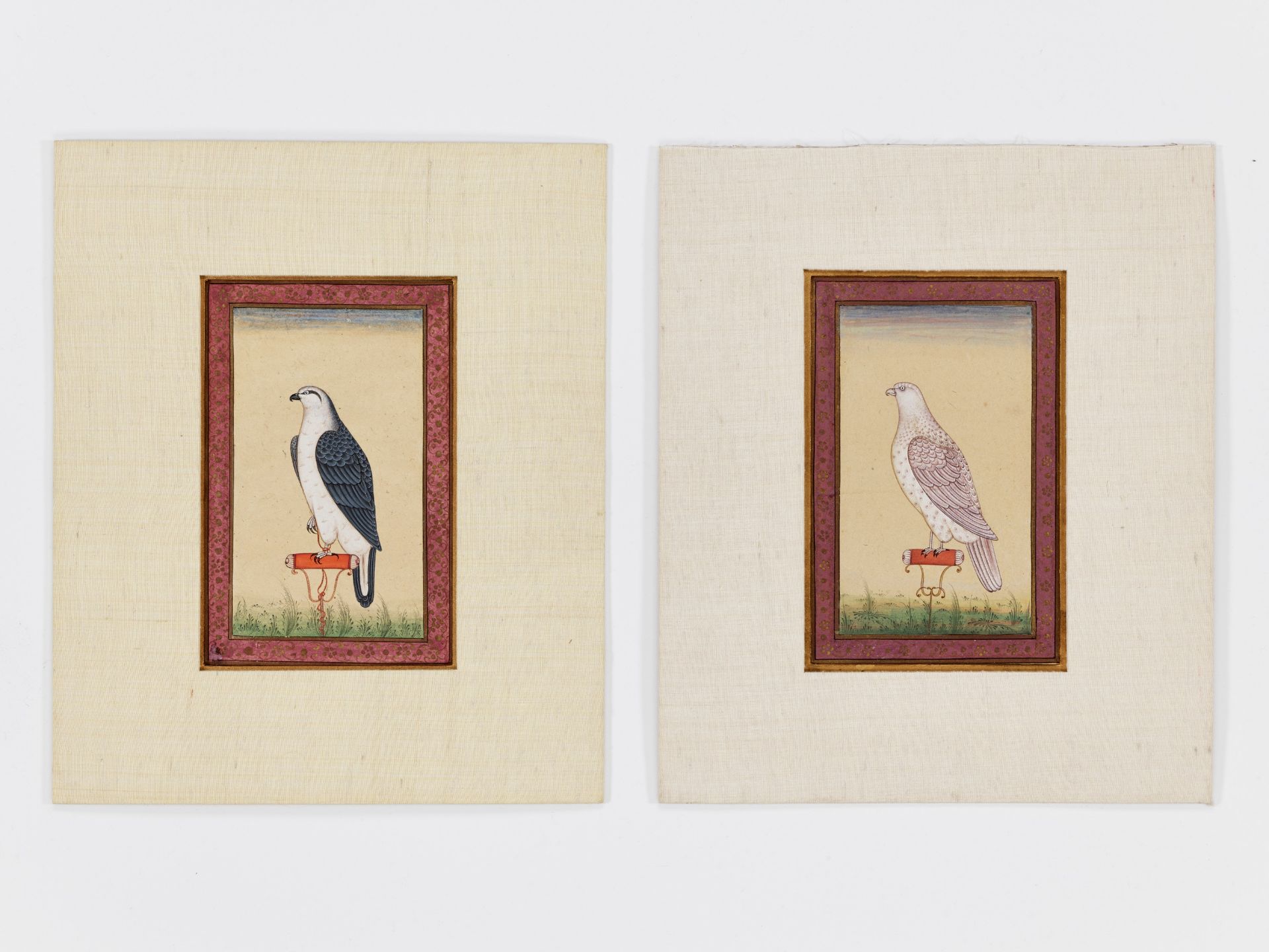 A PAIR OF INDIAN MINIATURE PAINTINGS OF FALCONS - Image 6 of 6