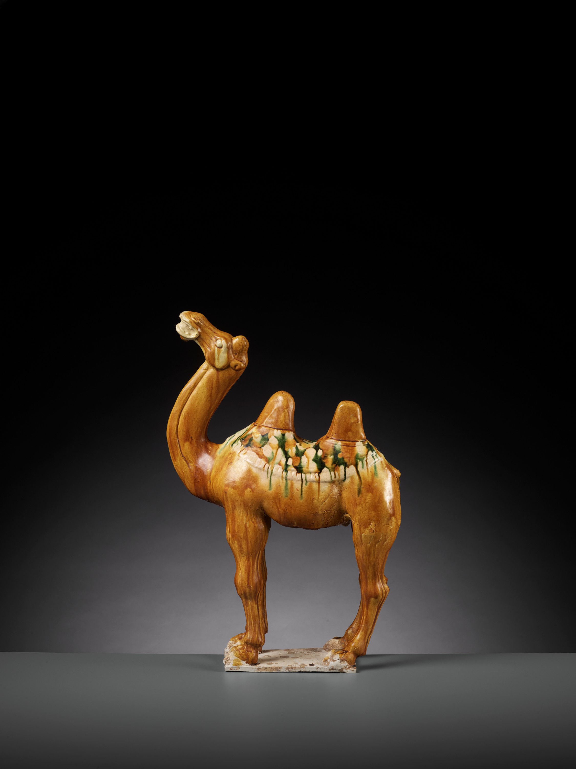 A SANCAI-GLAZED POTTERY FIGURE OF A BACTRIAN CAMEL, TANG DYNASTY - Image 2 of 15