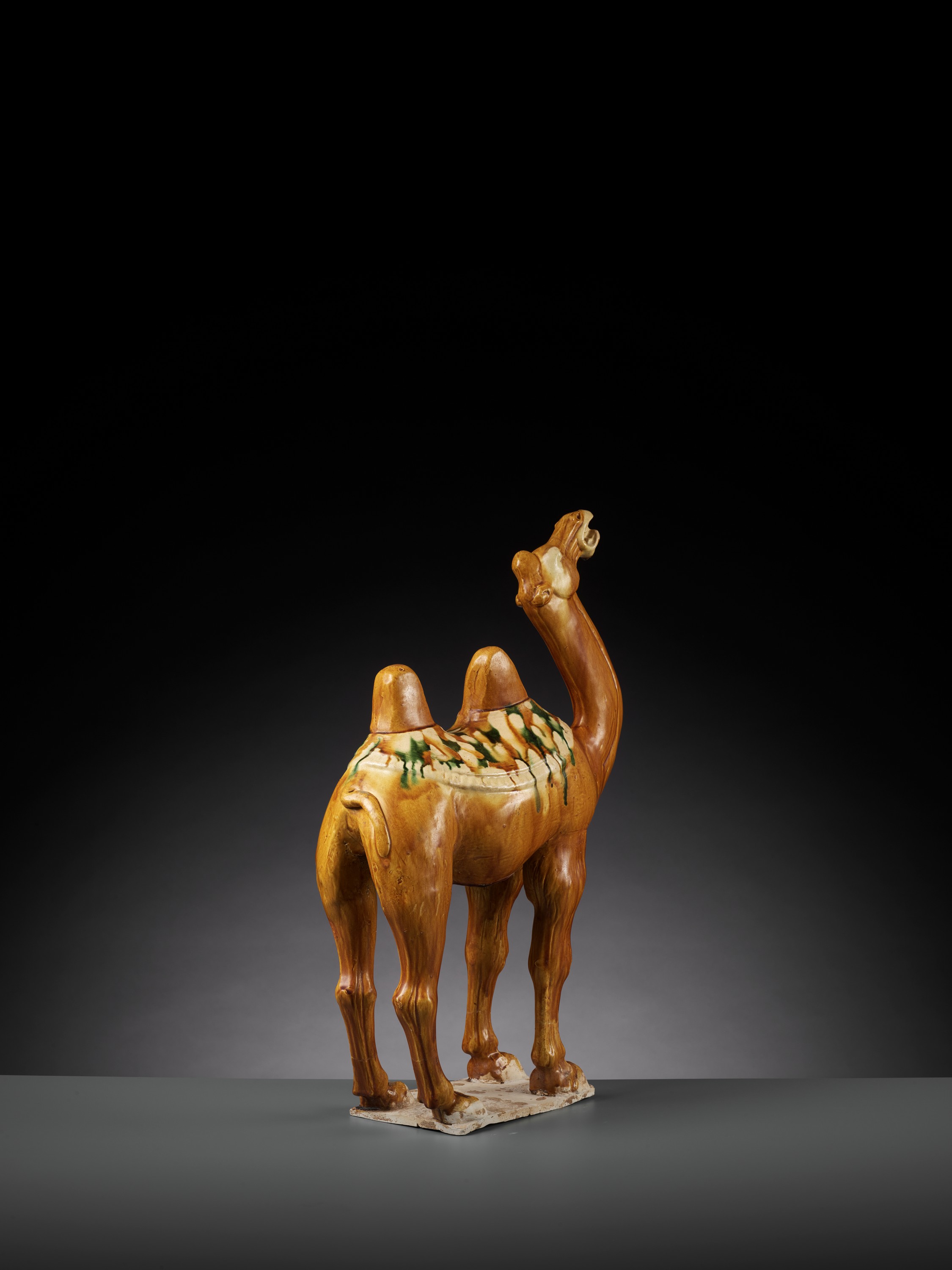 A SANCAI-GLAZED POTTERY FIGURE OF A BACTRIAN CAMEL, TANG DYNASTY - Image 9 of 15