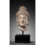 A RARE AND IMPORTANT TERRACOTTA HEAD OF BUDDHA SHAKYAMUNI