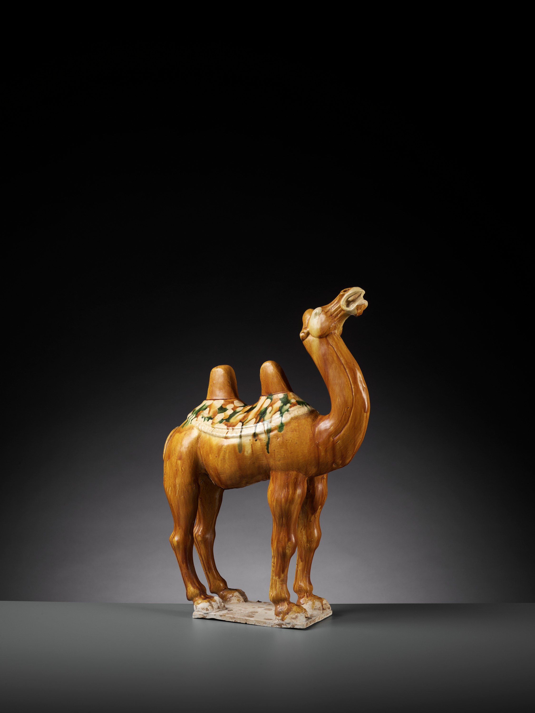 A SANCAI-GLAZED POTTERY FIGURE OF A BACTRIAN CAMEL, TANG DYNASTY - Image 6 of 15